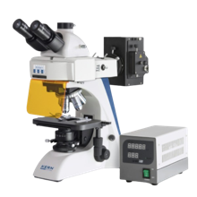 Transmitterande Ljusmikroskop